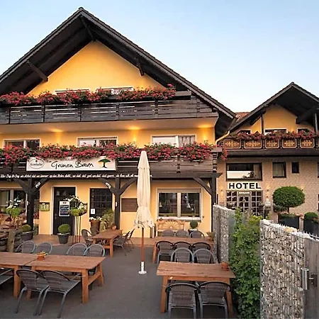 Garni Zum Gruenen Baum Hotel 3*